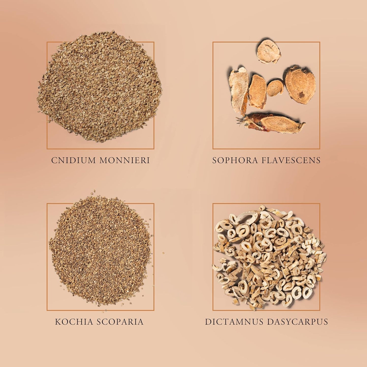 Yanail Fungal Nail Treatment For Toenails Extra Strong，5ml